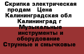 Скрипка электрическая продам › Цена ­ 7 000 - Калининградская обл., Калининград г. Музыкальные инструменты и оборудование » Струнные и смычковые   